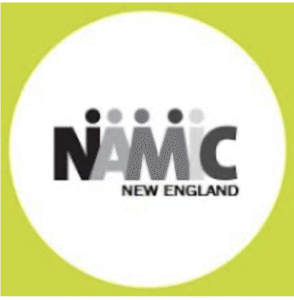 Namic_logo_green